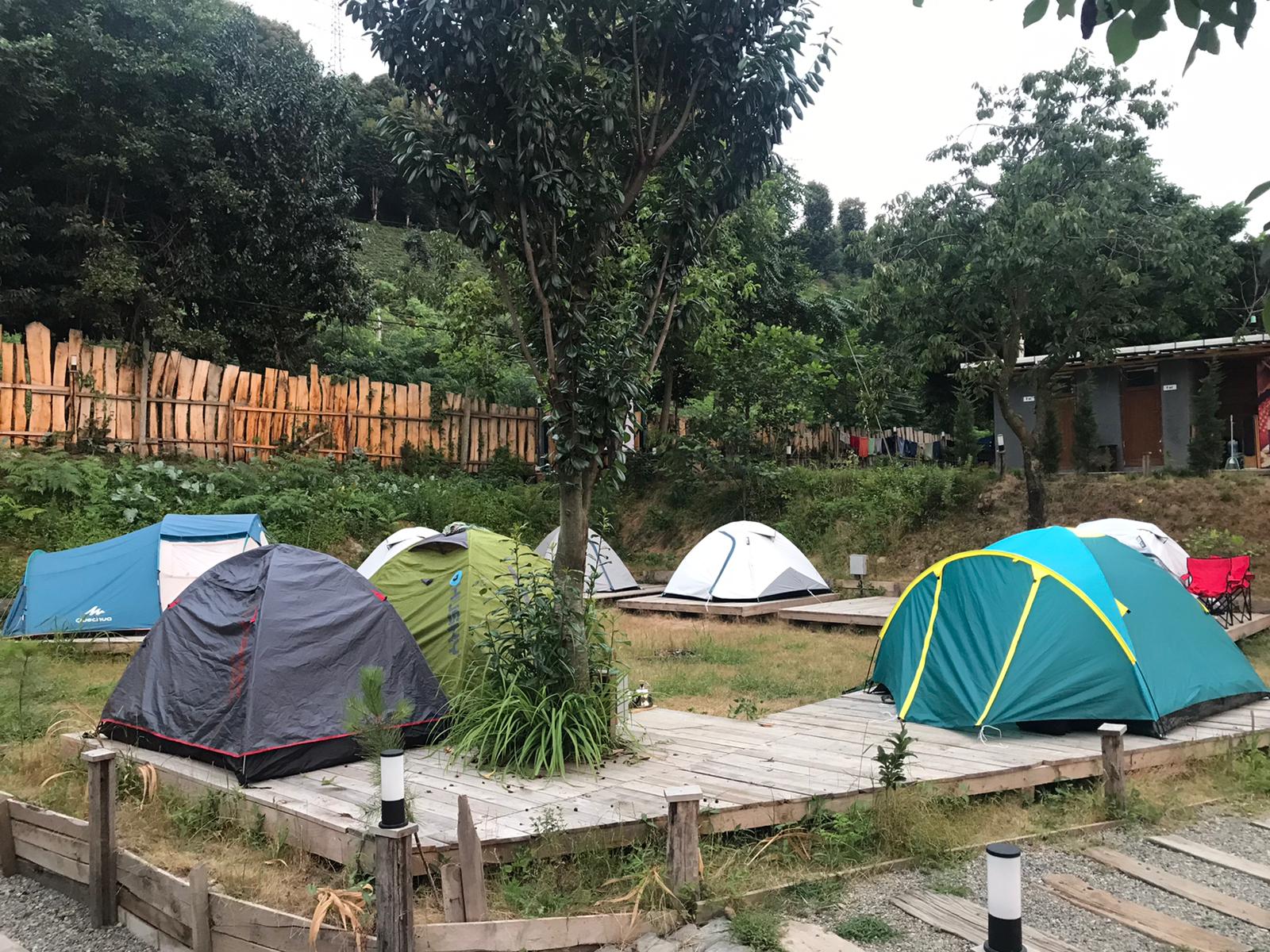 danzi-camping-kamp-alani (1)